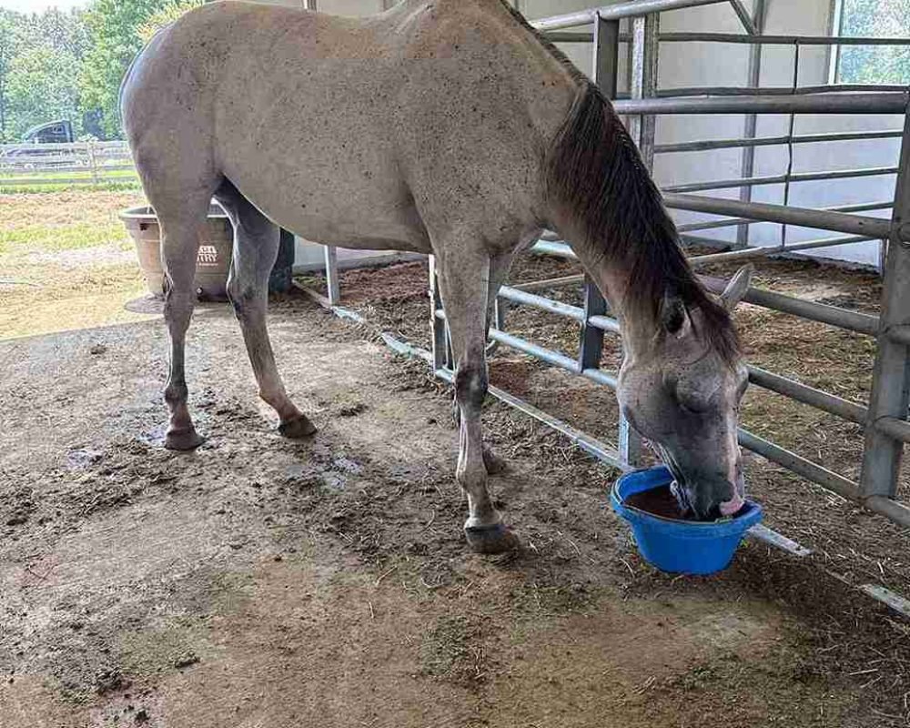 77507437401__DF197D94-019F-4CA6-8E33-B73F3D588A4D_11zon